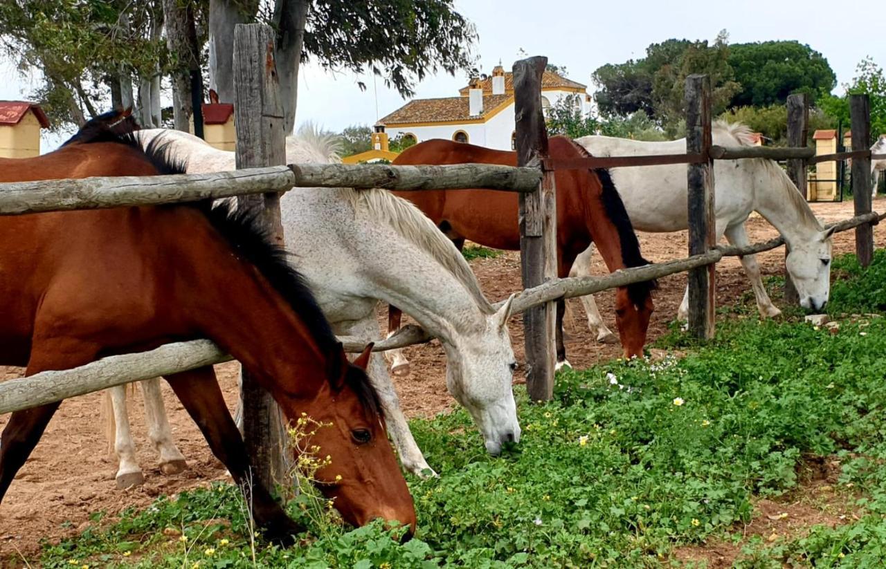 Posada Rural La Corbera 우트레라 외부 사진