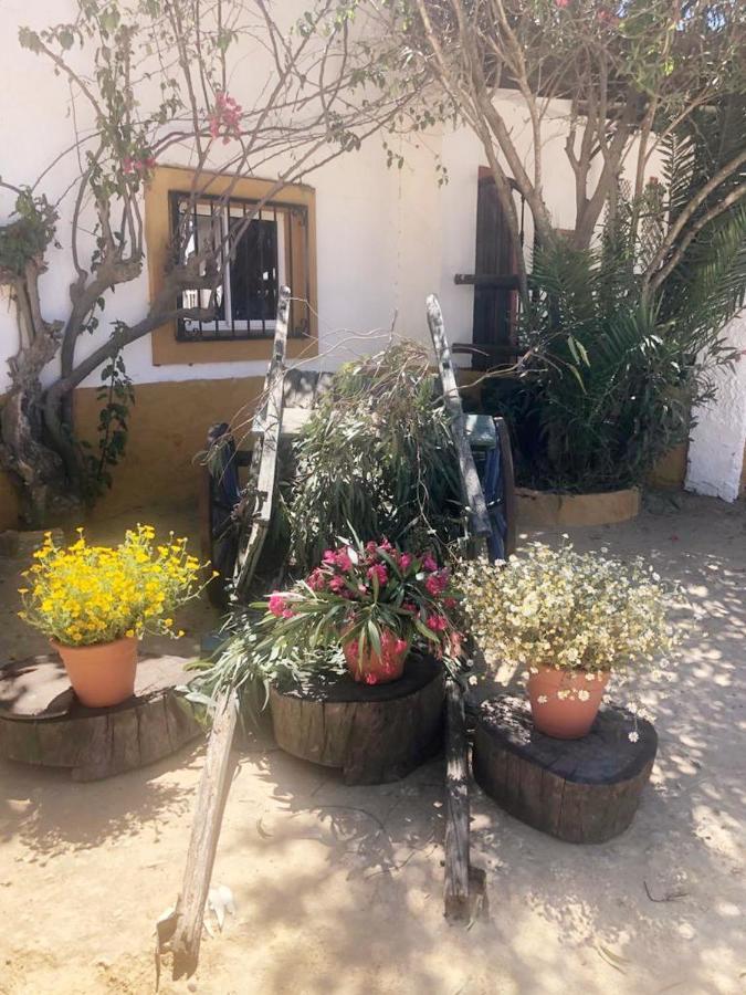Posada Rural La Corbera 우트레라 외부 사진