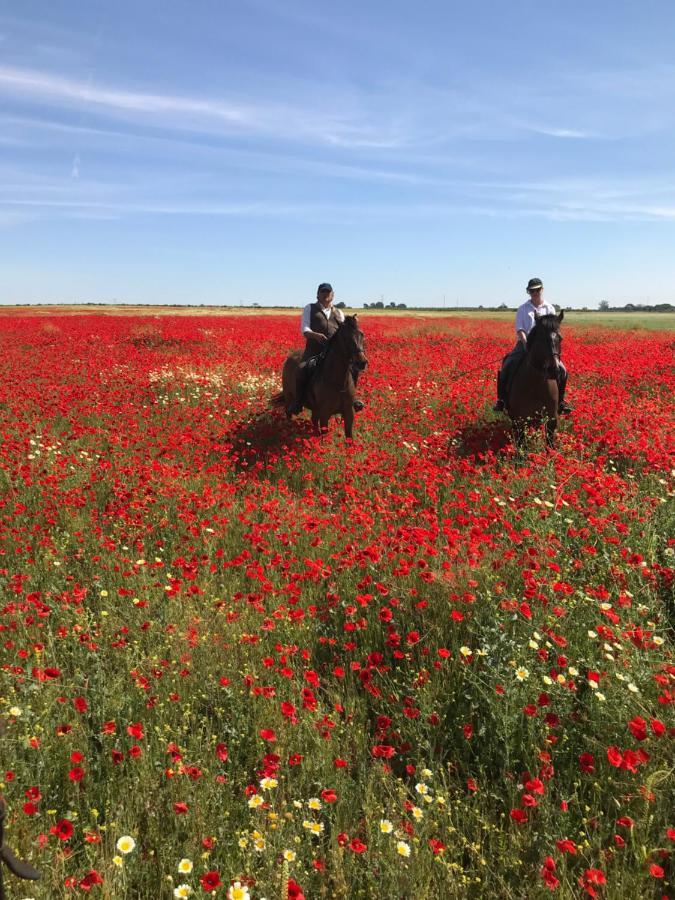 Posada Rural La Corbera 우트레라 외부 사진