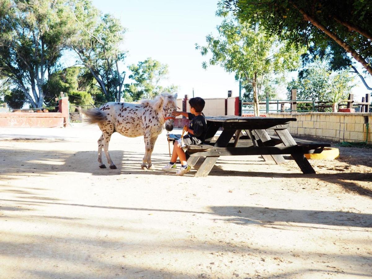 Posada Rural La Corbera 우트레라 외부 사진